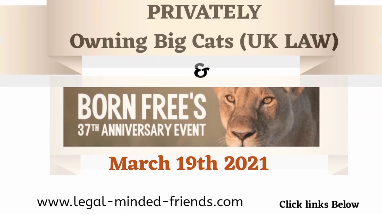 What are the UK LAW for private ownership of Big Cats?