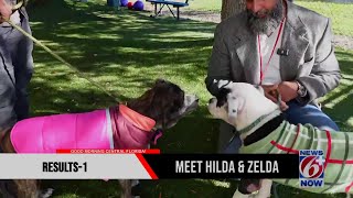 Trooper Steve on Patrol meets Zelda, Hilda at Orange County Animal Services