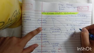 Anterior Teeth Selection Prosthodontics
