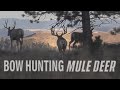 Bow Hunting Big Bucks - Public land Mule Deer Hunt (Eastmans’)