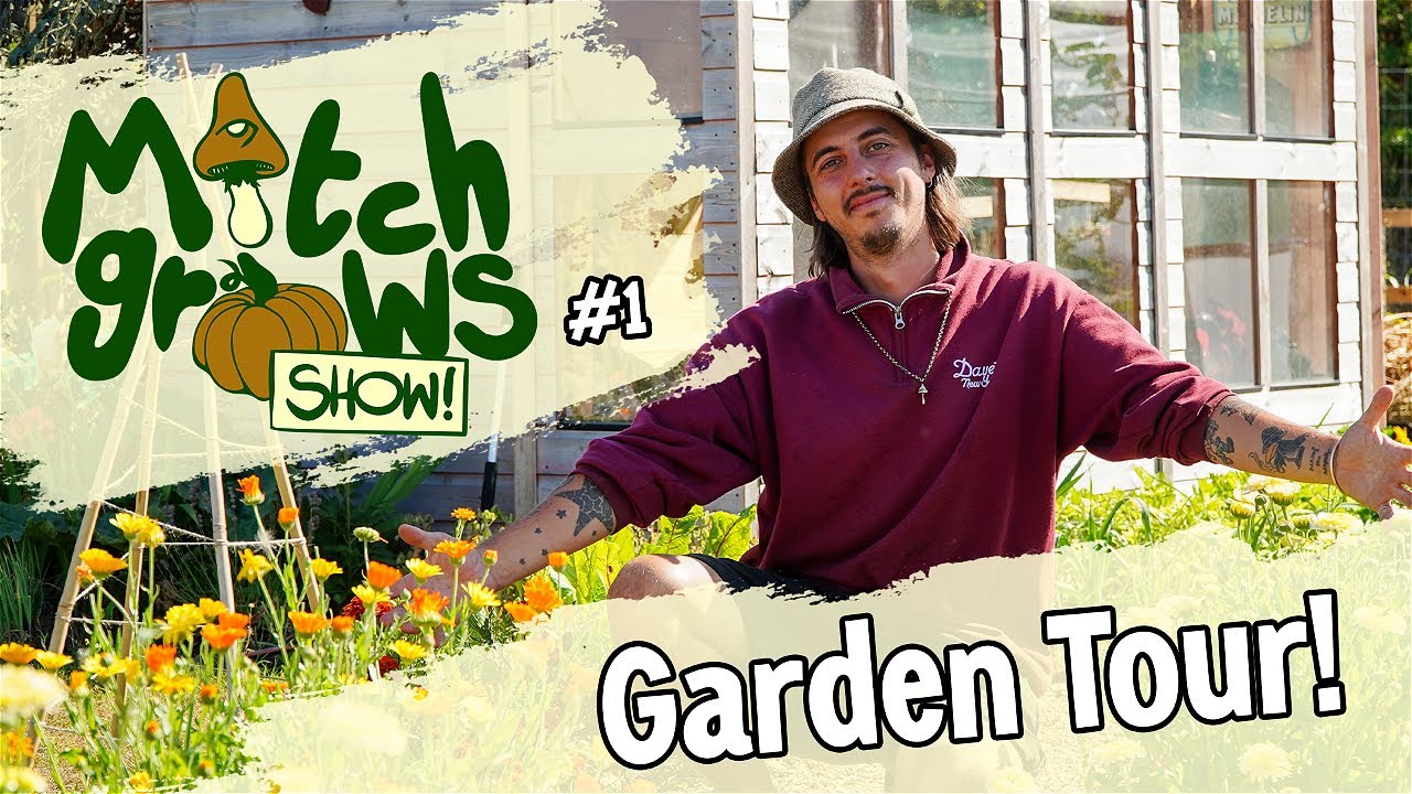Organic No Dig Vegetable Garden Tour