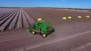 Australian Cotton Harvest 2016