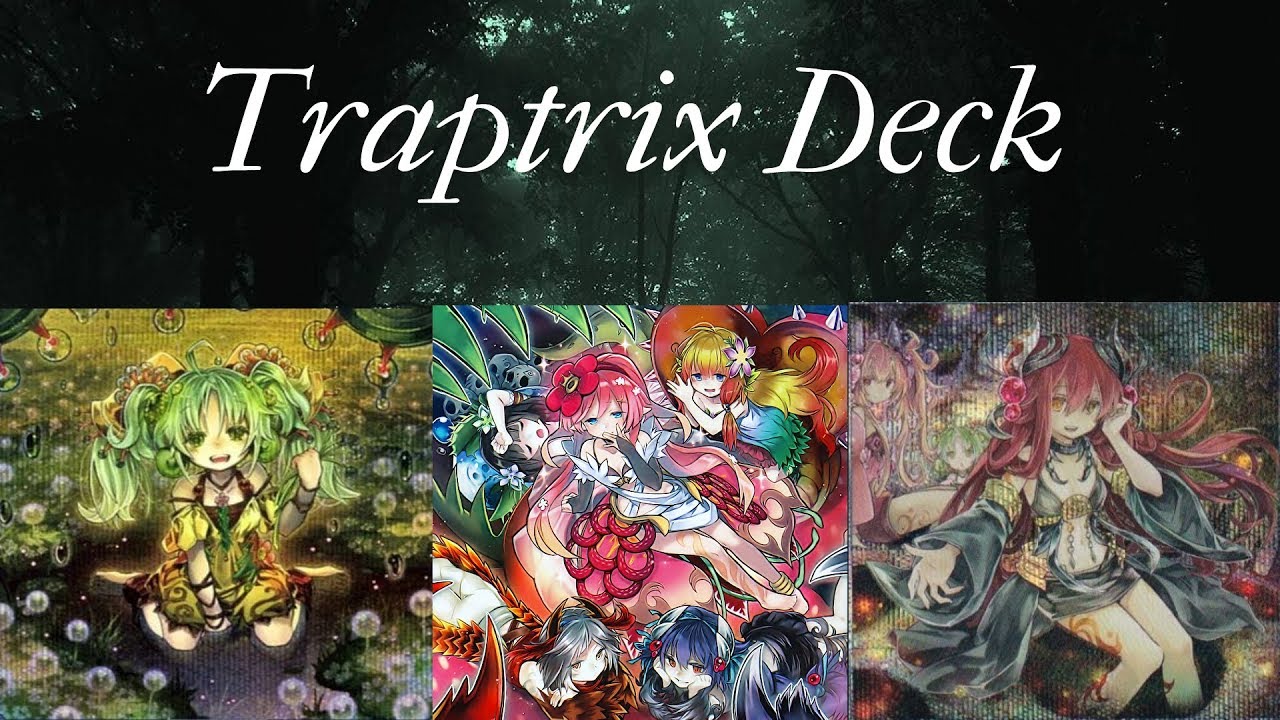 Master Rule 5 Traptrix Deck (October 2019 Banlist)