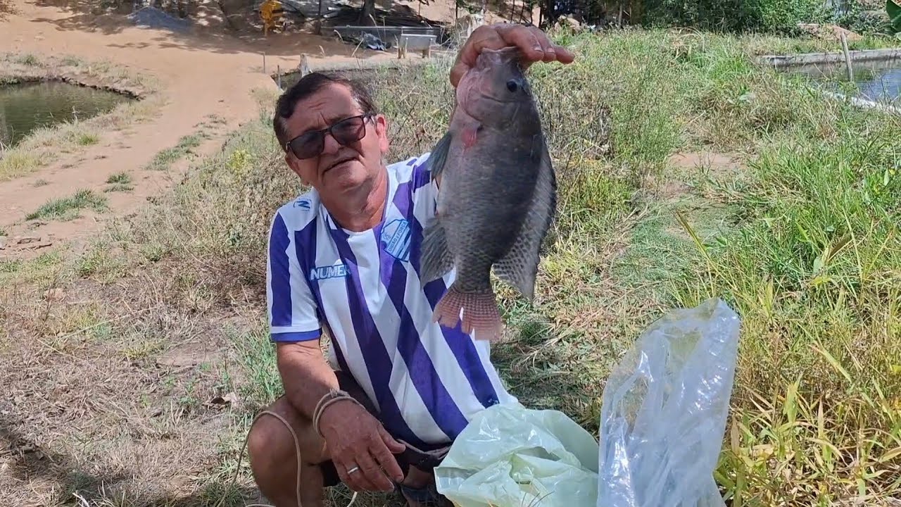 FUI COMPRAR PEIXE COM MARCELINO COLATINO  RAINHA ISABEL (MÚSICA- CARLOS LIMA ..