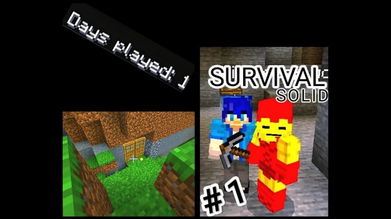 Survival Solidd #1