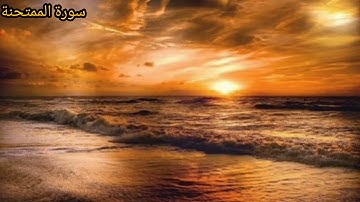 سورة الممتحنة كاملة- القارئ ماجد الزامل