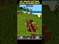 grass cutting level in minecraft