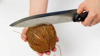 Как открыть кокос дома?- Фруктовый мастер - Fruitm Как открыть кокос дома?- Фруктовый мастер - Fruitm
