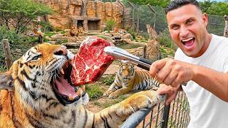 Visiting The Biggest Cat Sanctuary In The World!