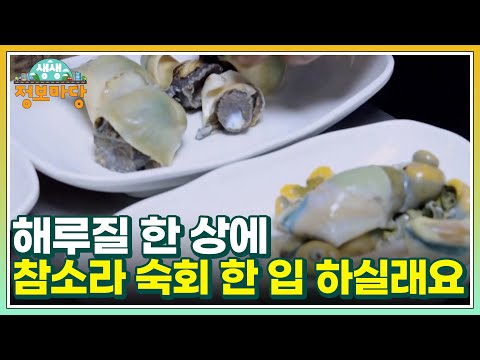 해루질 한 상에 <strong>참소라</strong> 숙회 한 입 하실래요 MBN 220608 방송