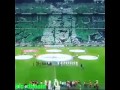 فارس عوض وكلام مهم لجماهير الاهلي