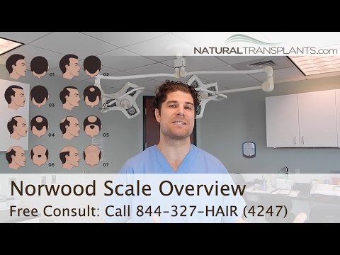 Norwood Scale |