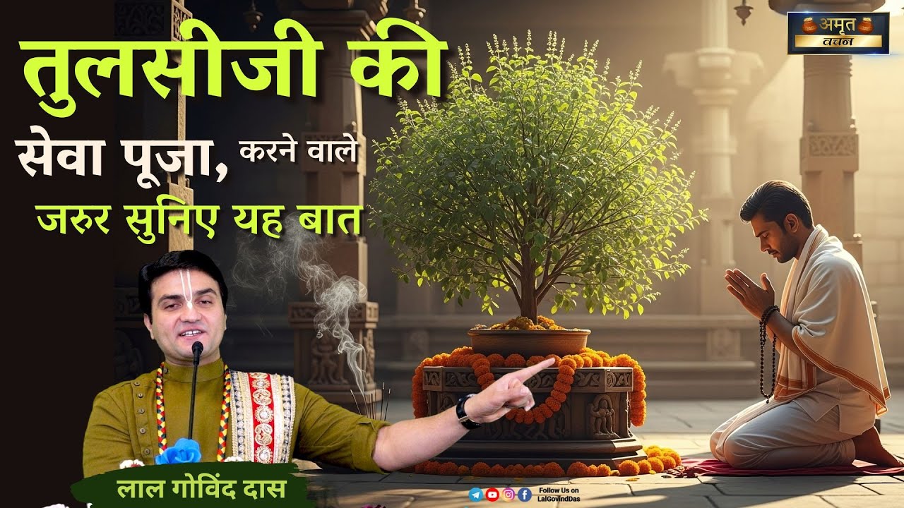 🍃 तुलसी जी की सेवा पूजा करनेवाले जरूर सुनिए यह बात 🍃 #tulsi #tulsipuja #tulsivivah #lalgovinddas