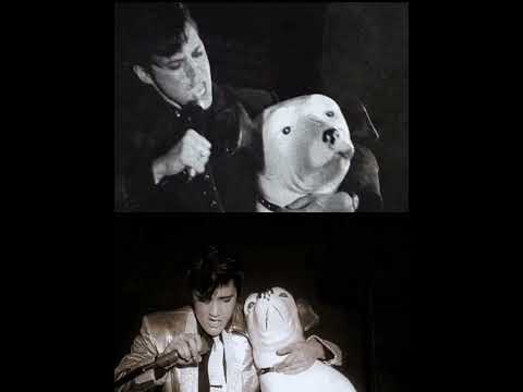 Elvis trouble comparison