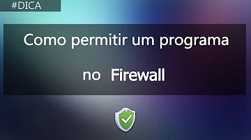 Como colocar Googleupdate exe na lista de permissões do Firewall?
