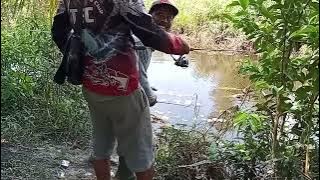 rekor terbaru ikan kerandang....umpan jitu mancing ikan kerandang super