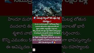 #IndianOcean #WhaleGraveyard #DeepSea #OceanMystery #ScienceNews