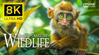 8K Unique Creatures Wildlife 🐾 Discover the Golden treasure in the wild forest | Cinematic Sound