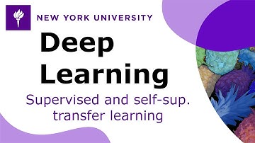 Supervised and self-supervised transfer learning (with PyTorch Lightning)