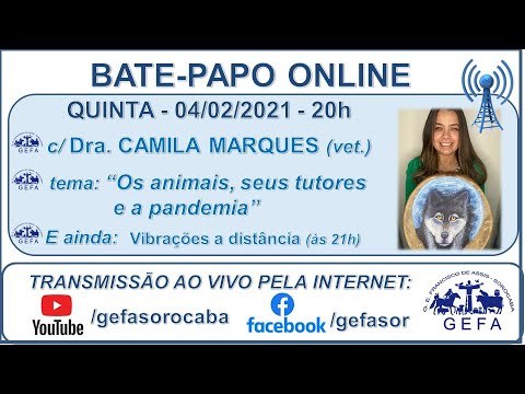 Assista: Bate-papo online - c/ CAMILA MARQUES (04/02/2021)