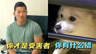 狗狗被惡犬霸凌撕咬主人竟在旁邊看熱鬧訓犬師當場發飆