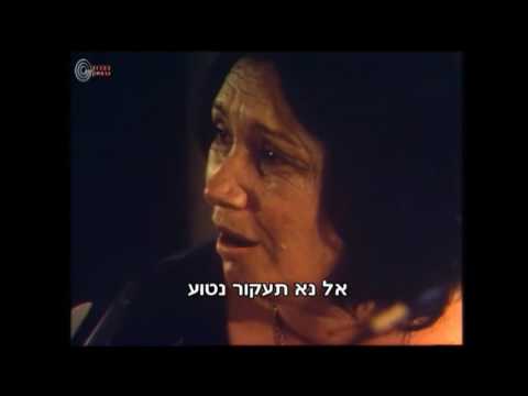 נעמי שמר על כל אלה Naomi Shemer Al Kol Eleh 