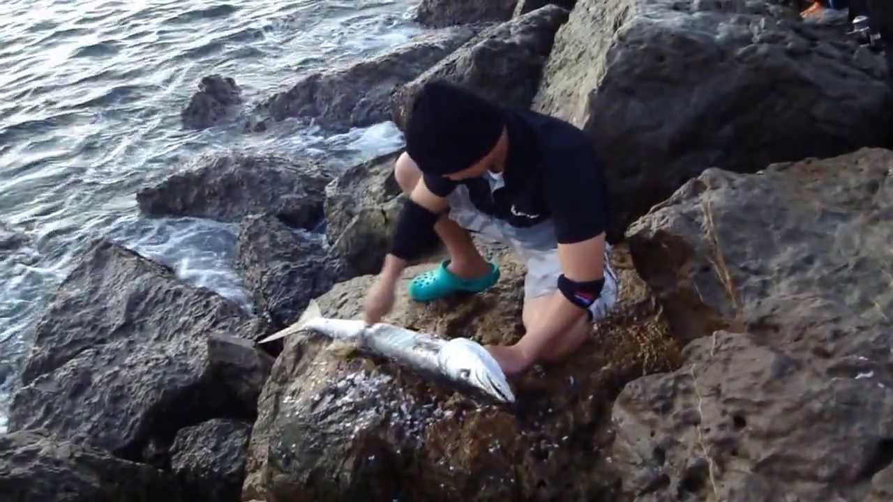 Fishing in U.A.E., Ajman 26 November 2013 