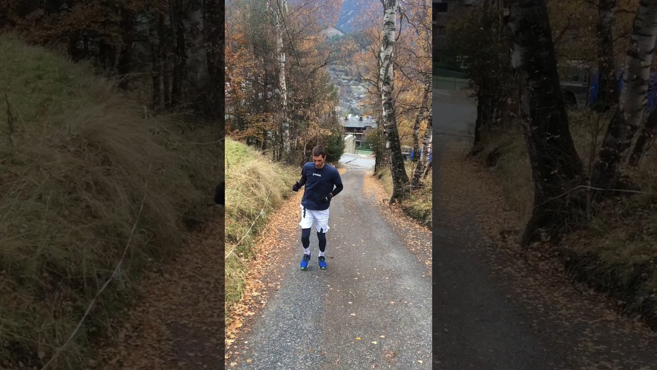 Albert Ramos Vinolas Pre Season 2019