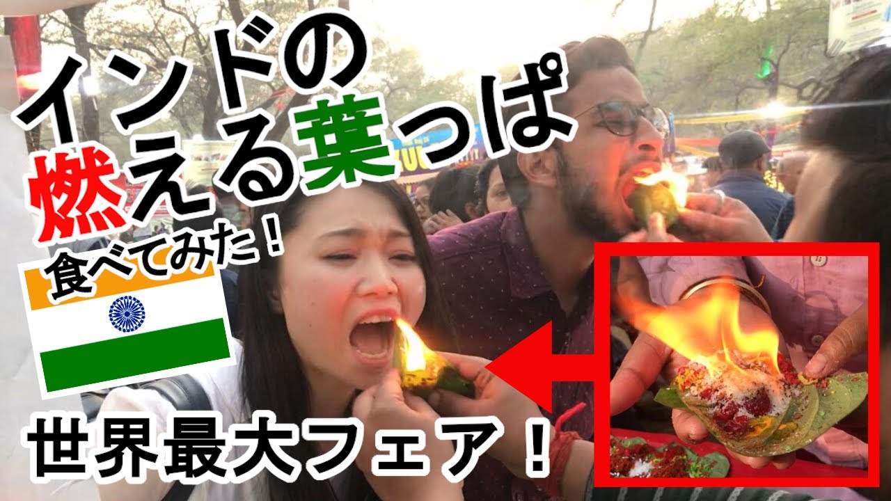 動画付き】インドで開催！世界最大のクラフトフェア《SURAJKUND MELA
