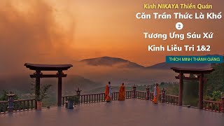 Kinh NIKAYA Thiền Quán - Căn Trần Thức là Khổ 2 - Tương Ưng Sáu Xứ - Kinh Liễu Tri 1&2