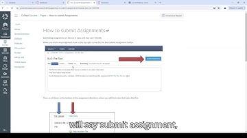 Canvas Basics for WCC Students