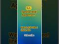 Service Level Agreement (SLA) In Project Management in Telugu | Service Level Agreement Explained