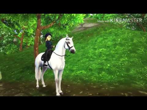 working star stable codes