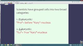 PABIO Unit 3A Cell Theory