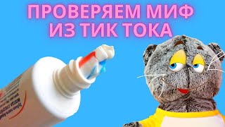 Что Внутри Зубной Пасты? А что если Перемешать зубную пасту? проверка мифов из Тик Ток от Сахарка