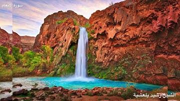المصحف المرتل للشيخ رشيد بلعشية ((سورة الأنعام))