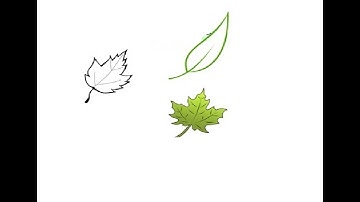 Daniel Kahneman and Yuval Noah Harari in conversation | commentary #2 😃🧠