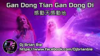 Gan Dong Tian Gan Dong Di 感動天感動地 Remix By Dj Brian Bie Hot Song Tiktok Douyin