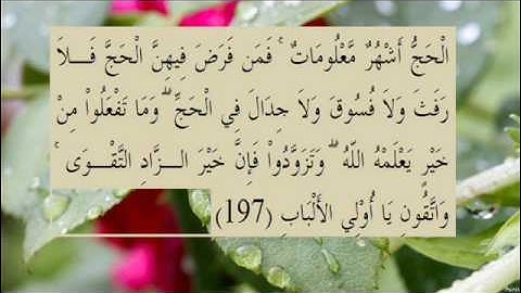 القران الكريم سورة البقرة الاية 197
