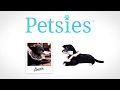 5 People Surprised by Custom Stuffed Animal Lookalike to Remember a Past Pet | Petsies©