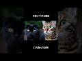 猫達の大冒険が可愛すぎて