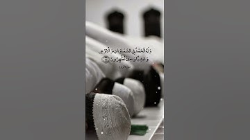 فَسُبْحَانَ اللَّهِ حِينَ تُمْسُونَ وَحِينَ تُصْبِحُونَ || سورة الروم || محمد أيوب