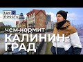 ИЩЕМ САМЫЕ ВКУСНЫЕ КАФЕ КАЛИНИНГРАДА | Шоу "Где Поесть: Live"