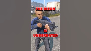 This DayZ Gun Is UNDERRATED! ✅