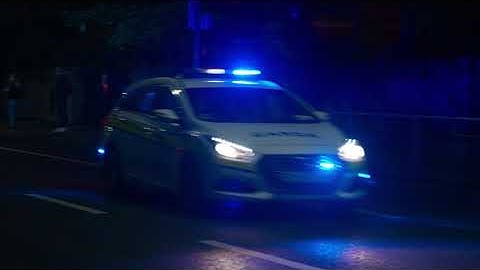 Fireworks Cause Real Harm 30 EN