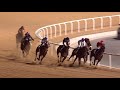 MIDNIGHT SANDS wins his 5th consecutive race for Doug Watson, getting the 1400m in a swift 1:23.79