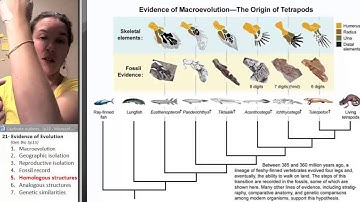 Evidence of Evolution 5- Homologous structures