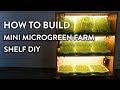 How to Build Mini Indoor Microgreen Farm Shelf DIY