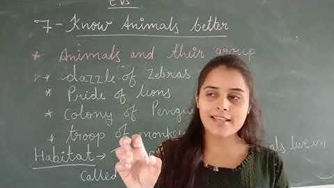 CLASS - 4 || EVS || CHAPTER - 7 || KNOW ANIMALS BETTER || PART - 1