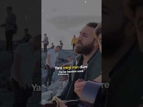 Birîna min kure
